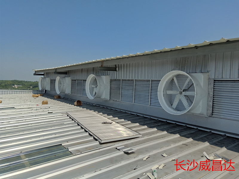 車(chē)間降溫,廠房車(chē)間降溫,水簾風(fēng)機(jī)